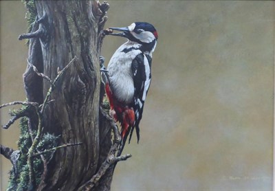 Lot 1118 - Alan M. Hunt (b.1947) A woodpecker on a branch, signed and dated (20)11, oil on board, 25cm by 34cm