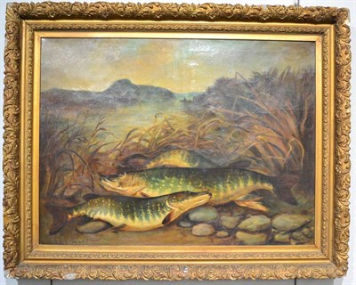 Lot 1155 - Follower of John Russell (19/20th century), Pike on a riverbank, bears signatures, oil on...