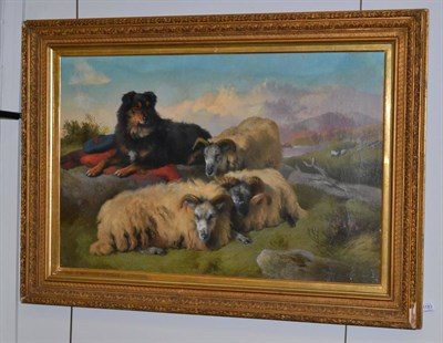 Lot 1183 - George W Horlor (1823-1895) Sheep at rest in a Highland landscape, signed, oil on canvas, 59cm...