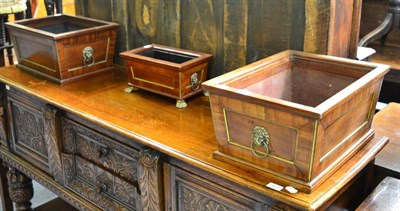 Lot 1622 - Three crossbanded mahogany jardinieres/planters of rectangular form with lion mask handles