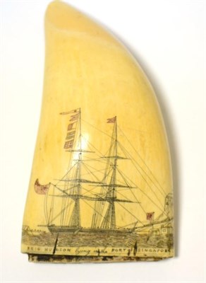Lot 91 - A 19th century Scrimshaw decorated sperm whale tooth, featuring the Brig Hudson lying in the...
