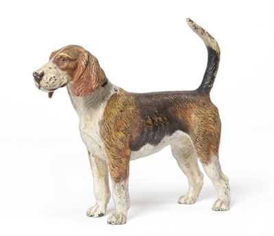 Lot 193 - A cold painted bronze fox hound, 12cm high