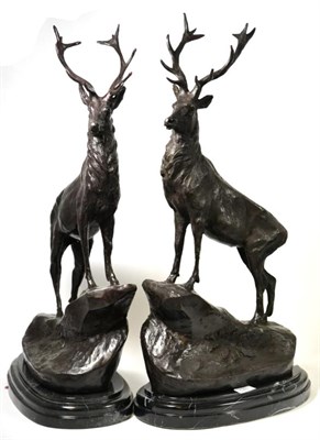 Lot 576 - A pair of reproduction bronze stags, on grey and black marble bases, 72cm high