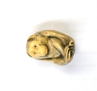 Lot 694 - An early 20th century Japanese ivory netsuke, as a monkey