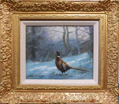 Lot 1001 - John Trickett (20th Century), Pheasant in a winter landscape, signed, oil on canvas, 19cm by 24cm