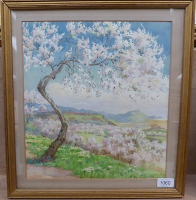 Lot 1060 - Hilda M Sides (Early 20th century) A grove of almond blossom with Classical ruins beyond,...