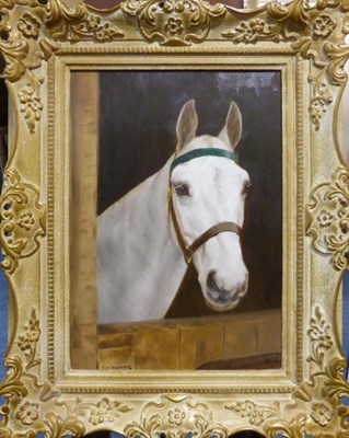 Lot 1074 - Frances Mabel Hollams (1877-1963) Head study of a grey horse at a stable door, signed, oil on...