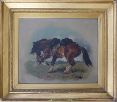 Lot 1191 - William Woodhouse (1857-1937) Study of a horse, signed, oil on canvas, 36cm by 43.5cm