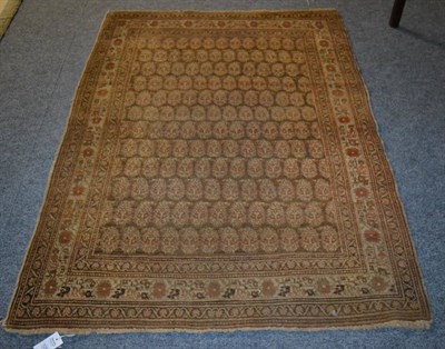 Lot 1255 - A Tabriz rug, Iranian Azerbaijan, The walnut brown field with rows of boteh enclosed by ivory...