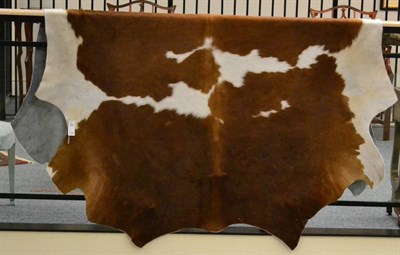 Lot 1369 - Nguni Cow Hide (Bos taurus), modern, excellent quality AA grade brown and white patterned cow...