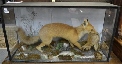 Lot 1491 - A full mount fox (Vulpes vulpes) with rabbit prey in a naturalistic setting enclosed within a three