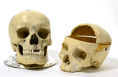 Lot 213 - A Victorian skull, hinged to the rear and mounted on silver base; and another part skull (2)